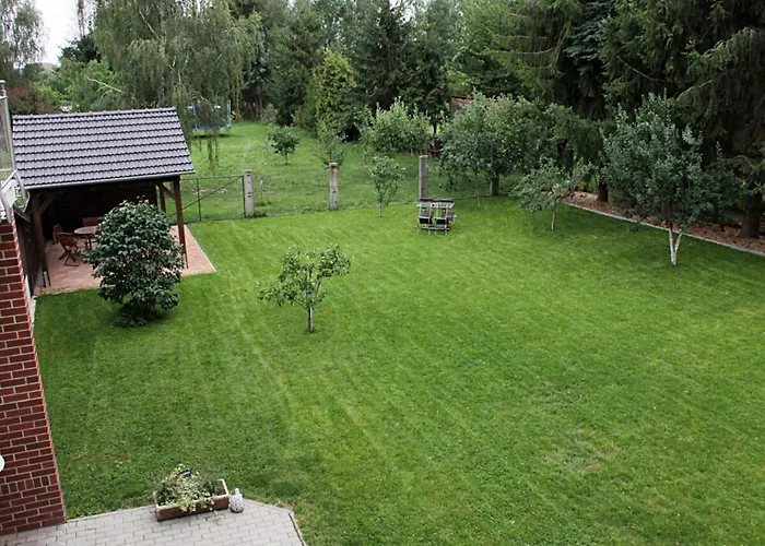 Pear - On The Fruit Tree * Zutzen